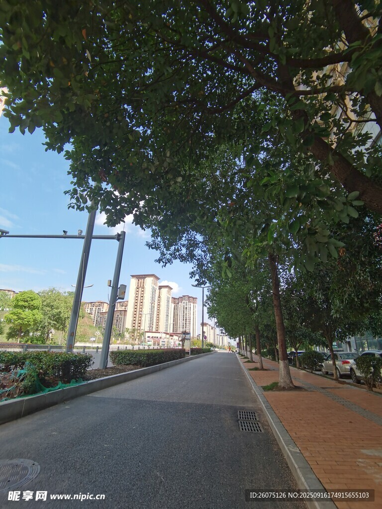林蔭下的城市靜謐道路