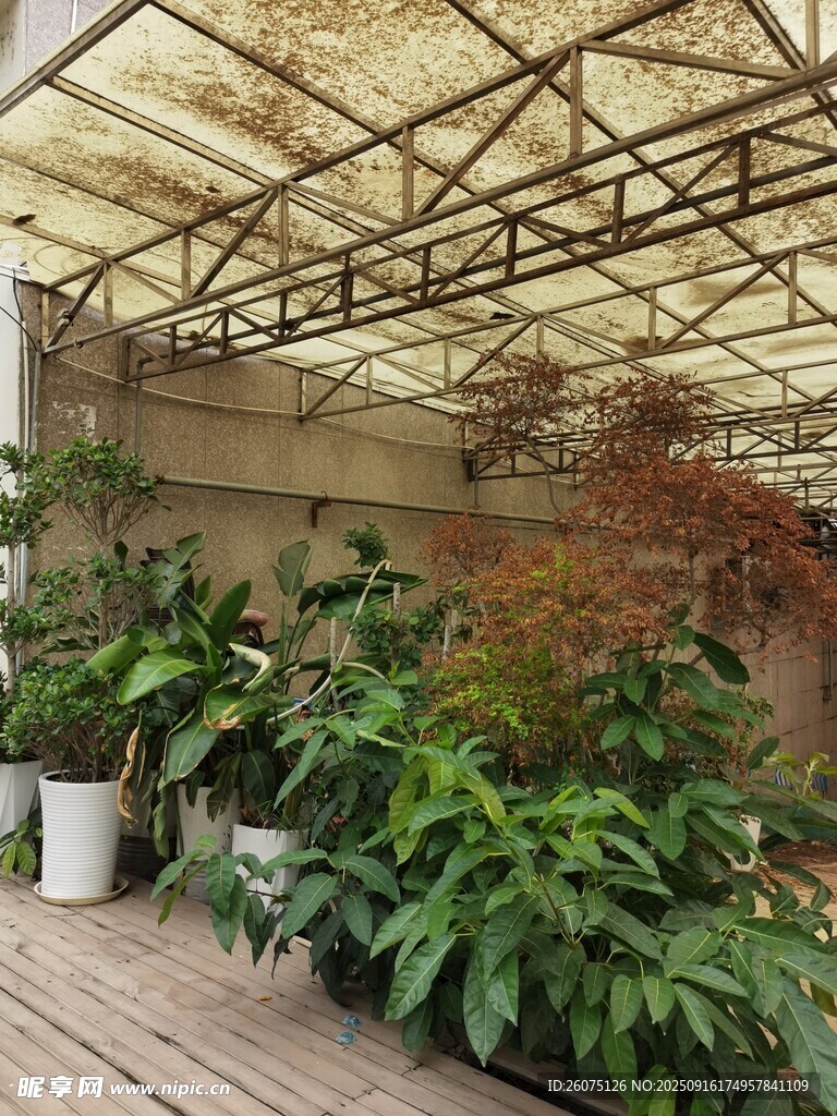 室內(nèi)綠植景觀一角