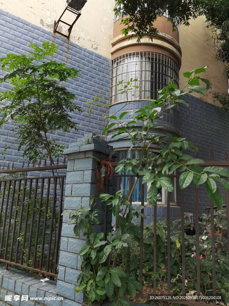 庭院綠植環(huán)繞的別致建筑