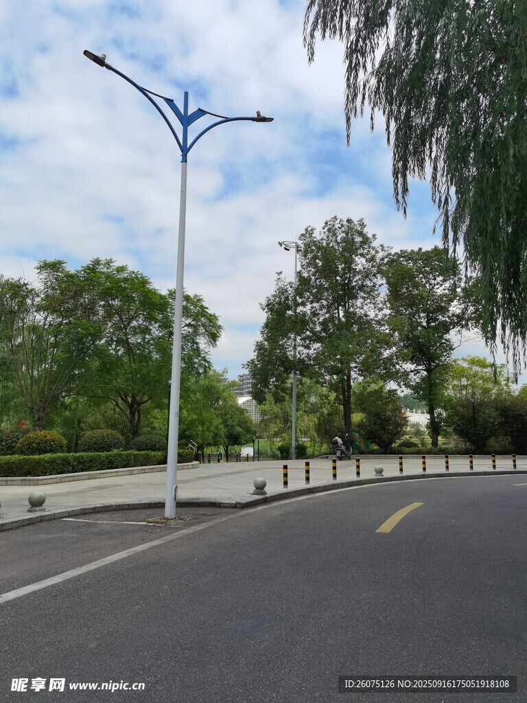 城市道路旁的路燈與綠樹