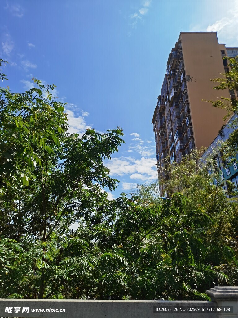 綠樹掩映下的高樓