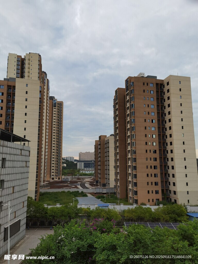 城市高樓與綠植景觀