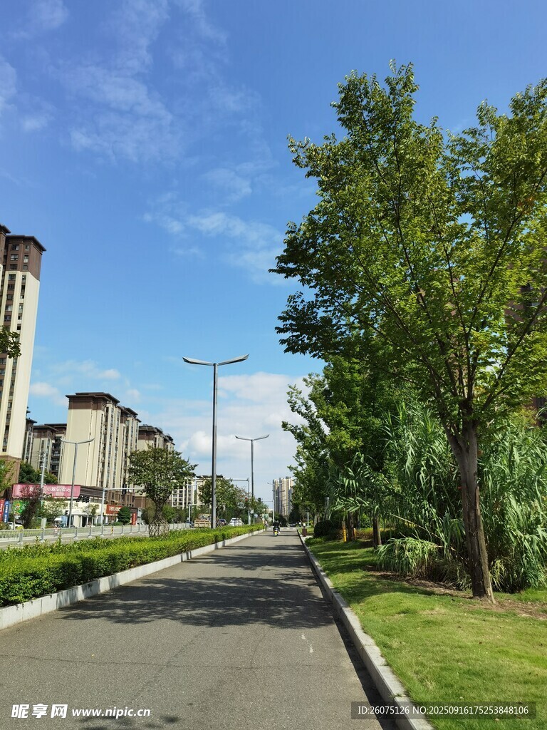 城市中寧?kù)o的林蔭道路