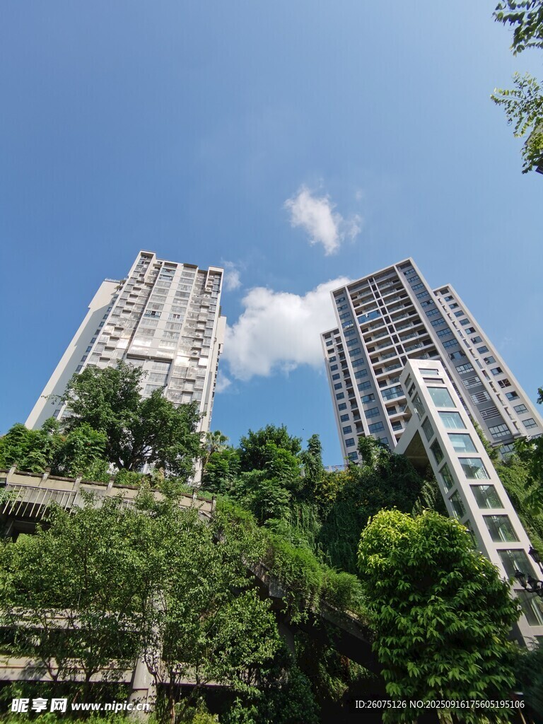 高樓林立間的綠意景觀