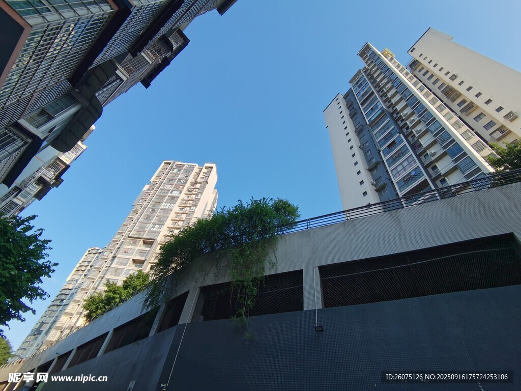 城市高樓與綠植景觀