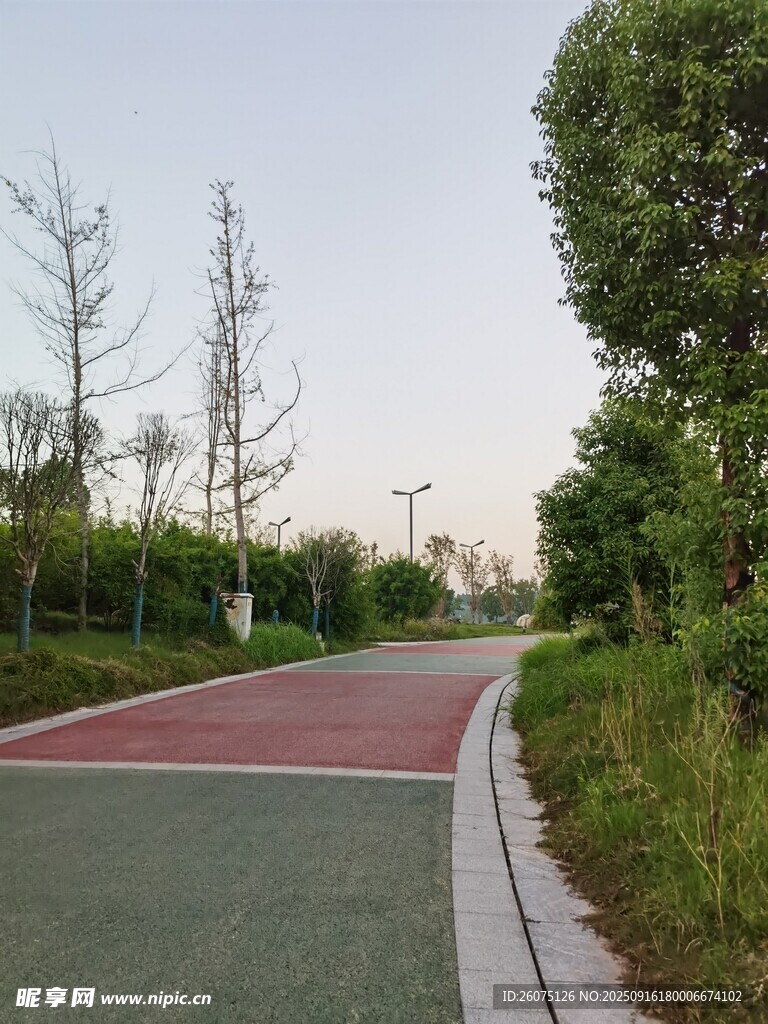 城市中的寧?kù)o林蔭騎行道