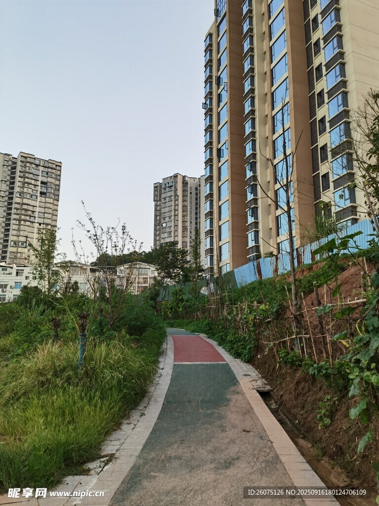 城市中的幽靜步道景觀