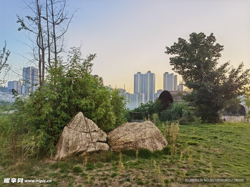 城市綠地中的自然景觀