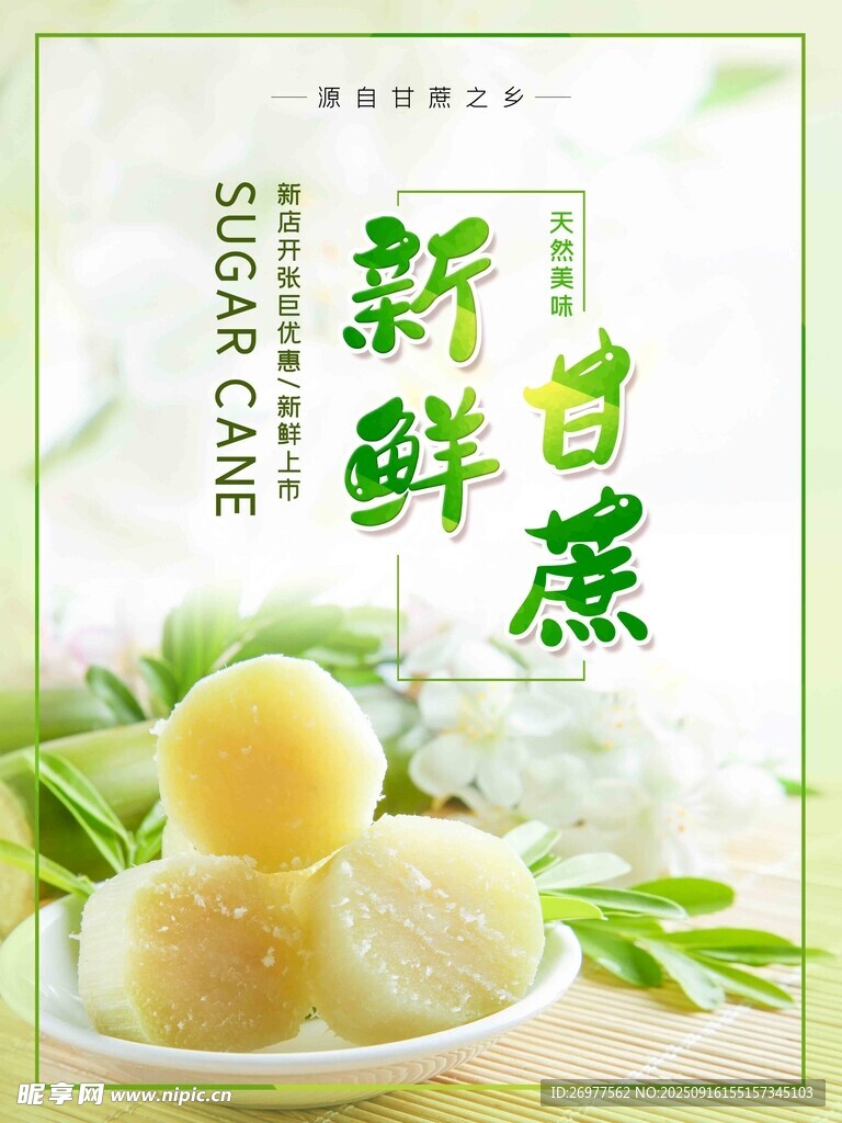 白蔗