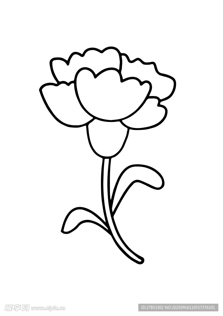 線(xiàn)條勾勒的簡(jiǎn)約康乃馨