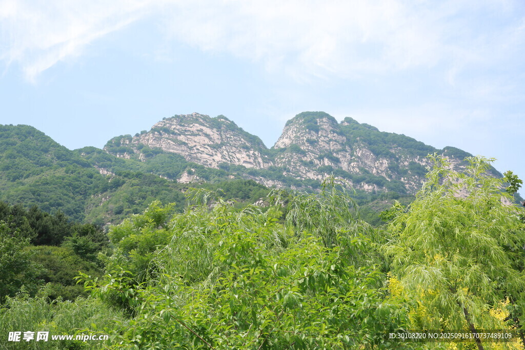 青山