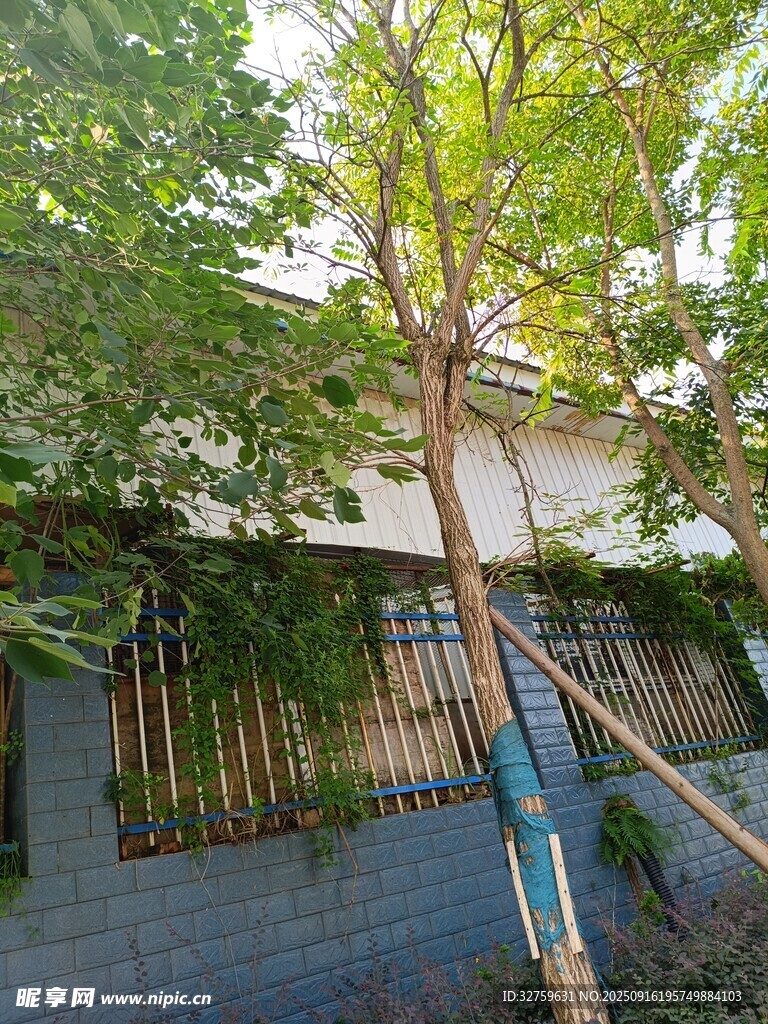庭院綠樹環(huán)繞景致宜人