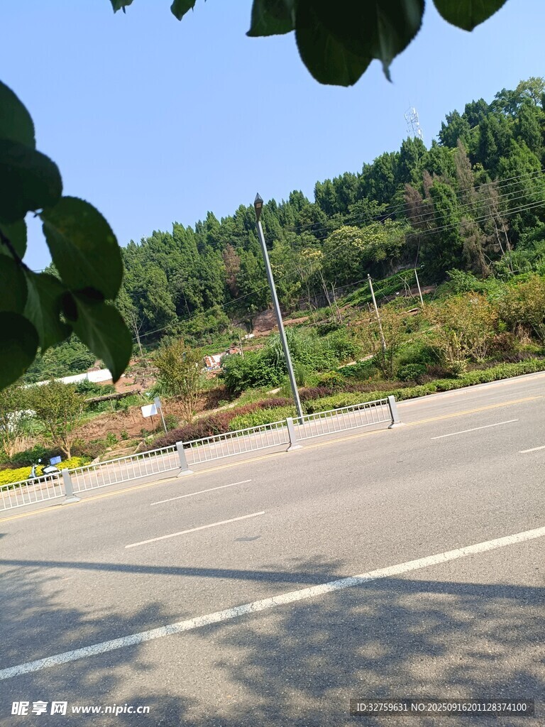 公路旁綠意盎然的自然景致