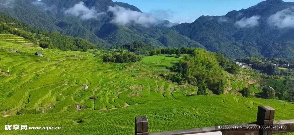 山間綠野美景