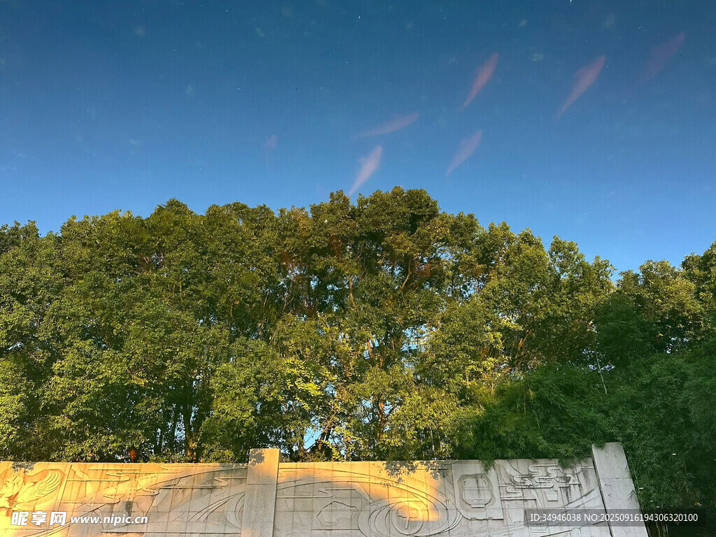 黃昏下的樹林與古老建筑