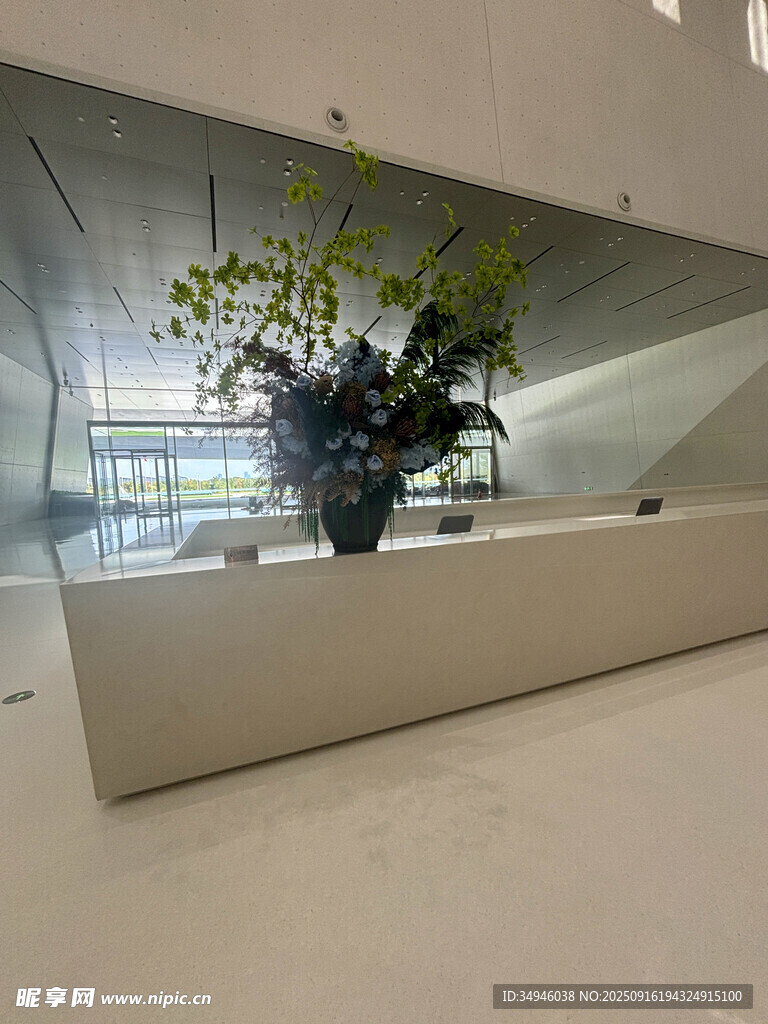 現(xiàn)代大廳中的綠植裝飾