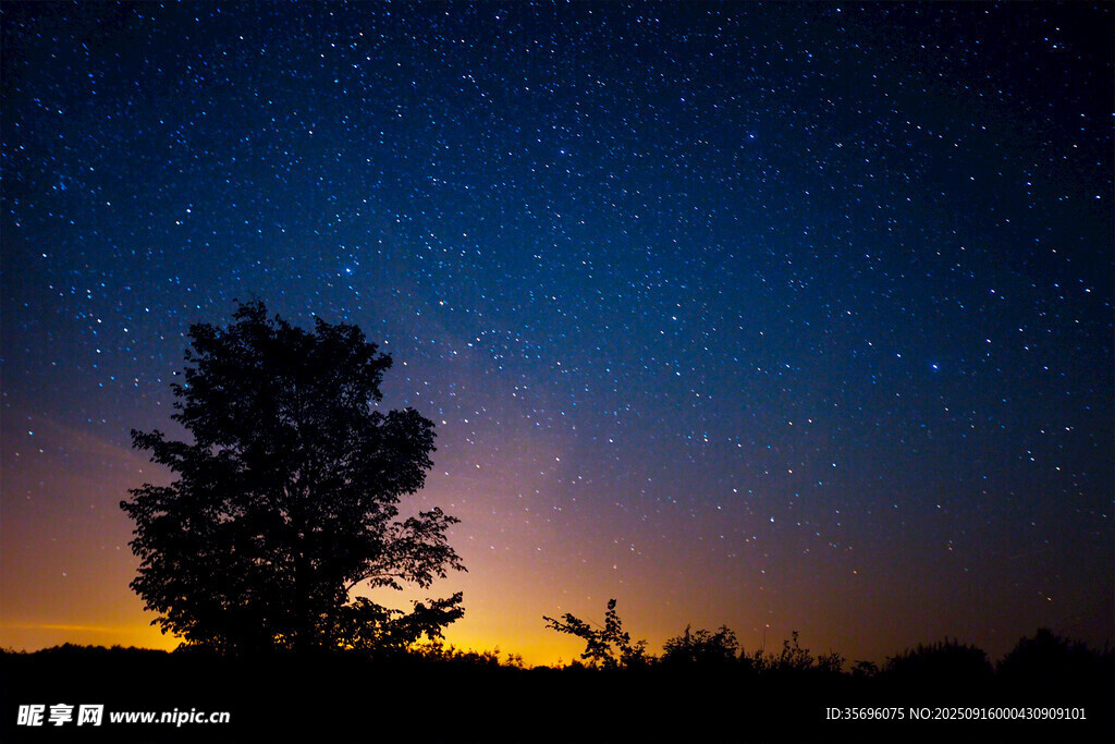 夜幕下的孤樹與璀璨星空
