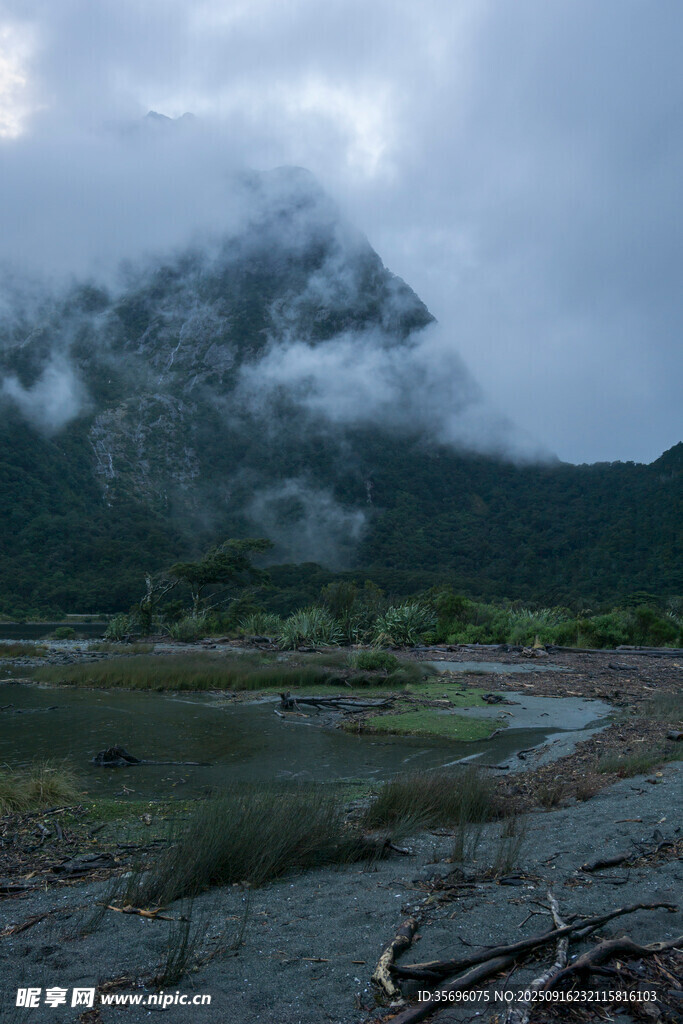 云霧繚繞的山間濕地景觀