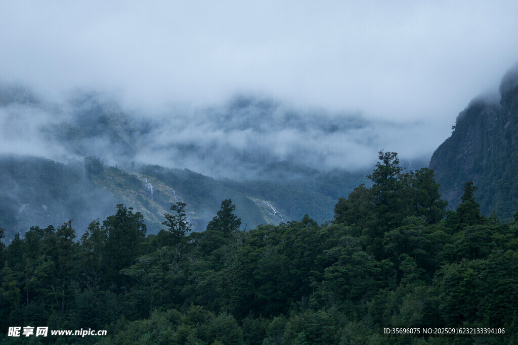 云霧繚繞的山林美景