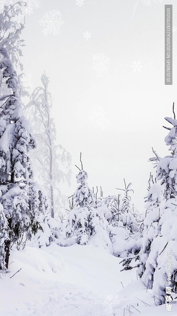 冬日雪景中的靜謐森林