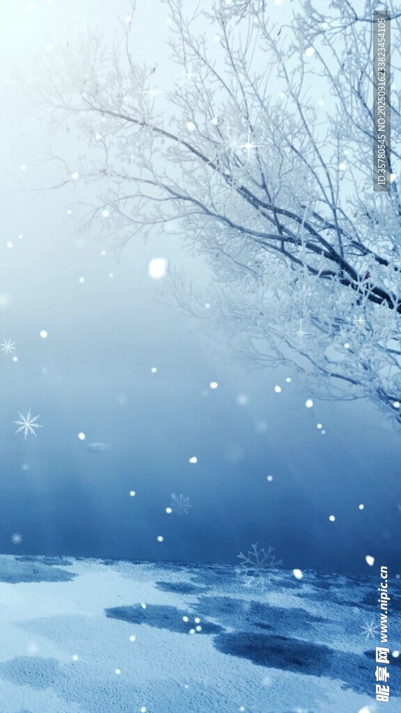 冬日雪景靜謐的雪落場景