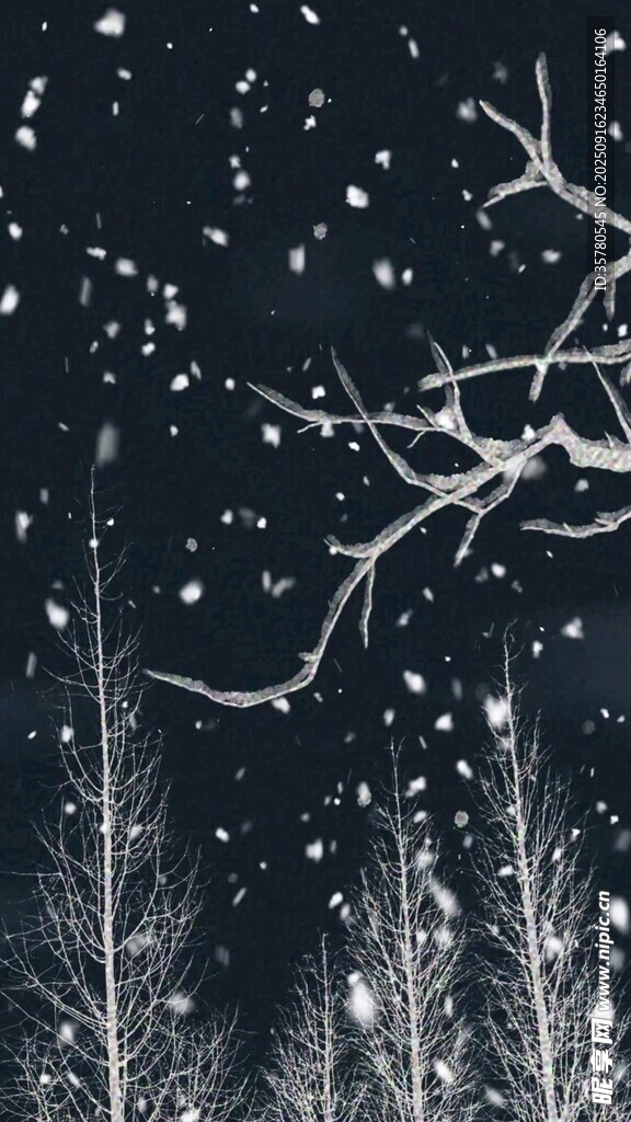 雪夜中的靜謐樹林