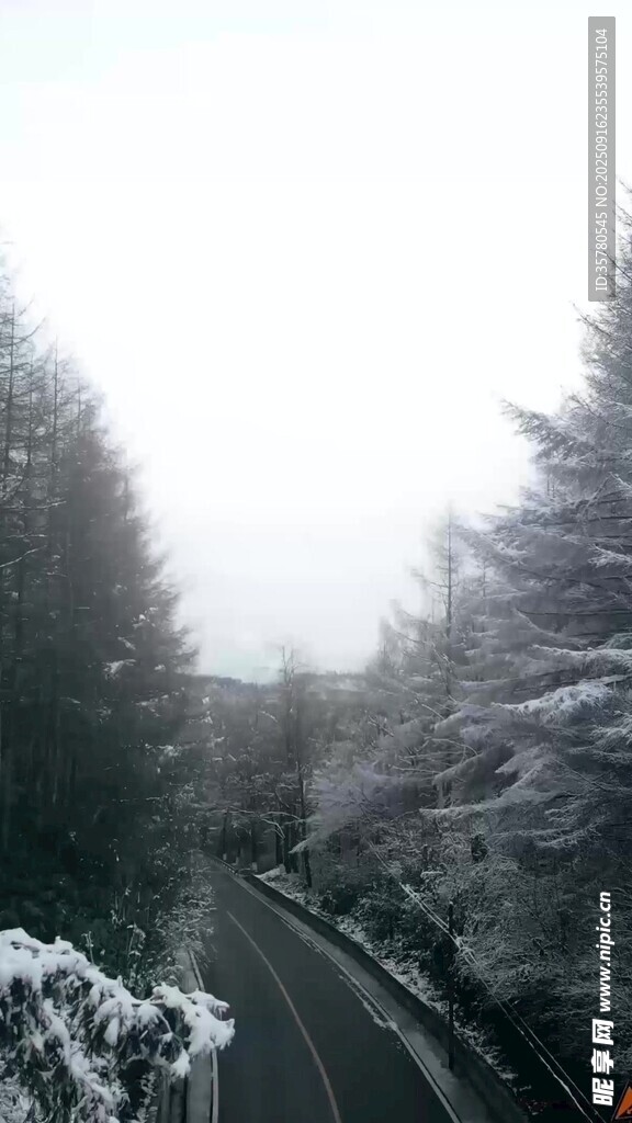 冬日雪覆山林間的公路