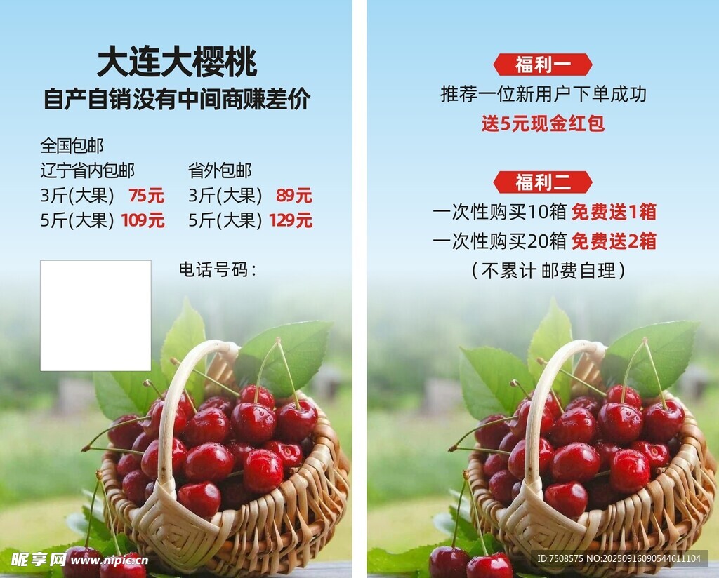 大連大櫻桃 新鮮美味來襲