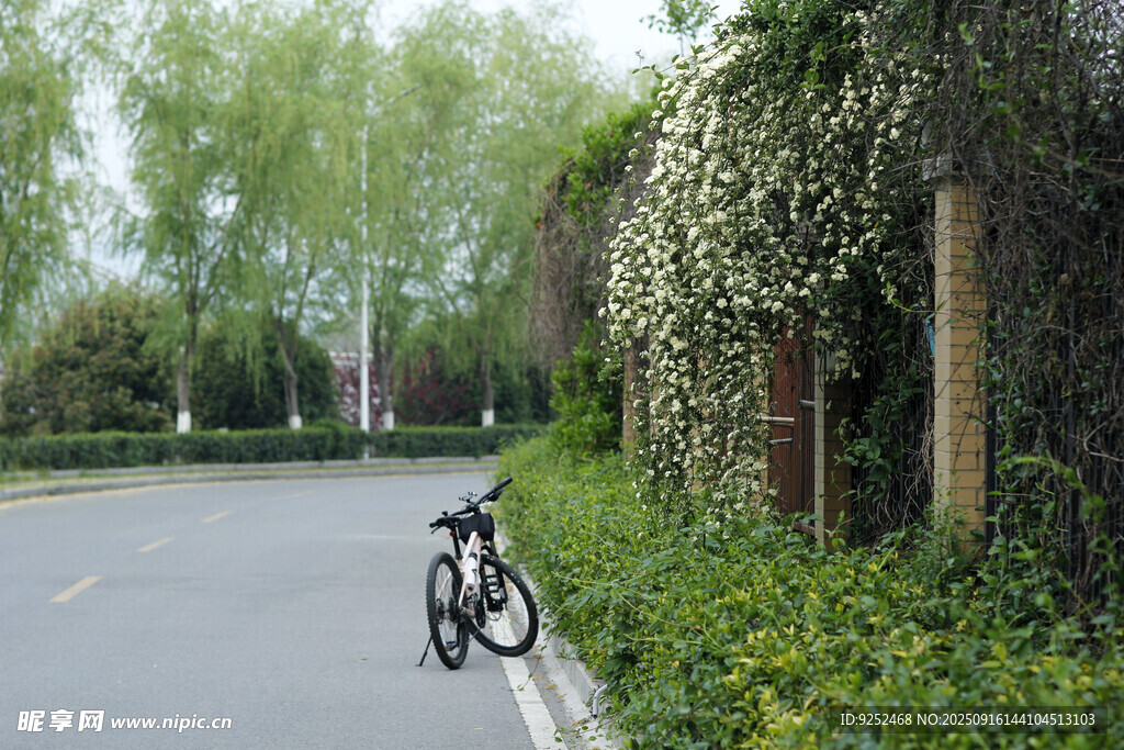 自行車 道路