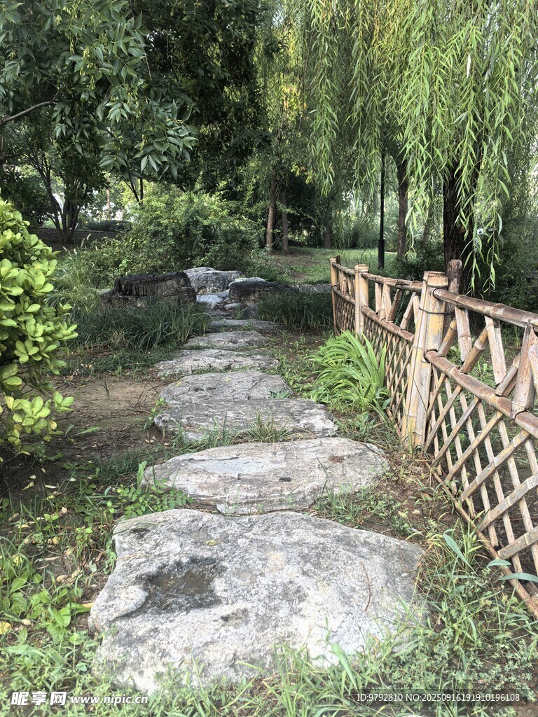 林間石板小徑 自然景致