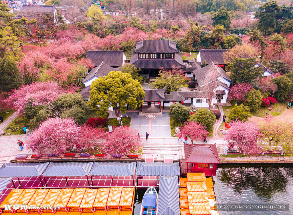 江南春日園林美景