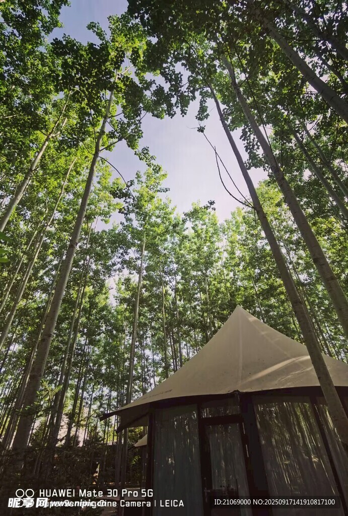 林中小屋