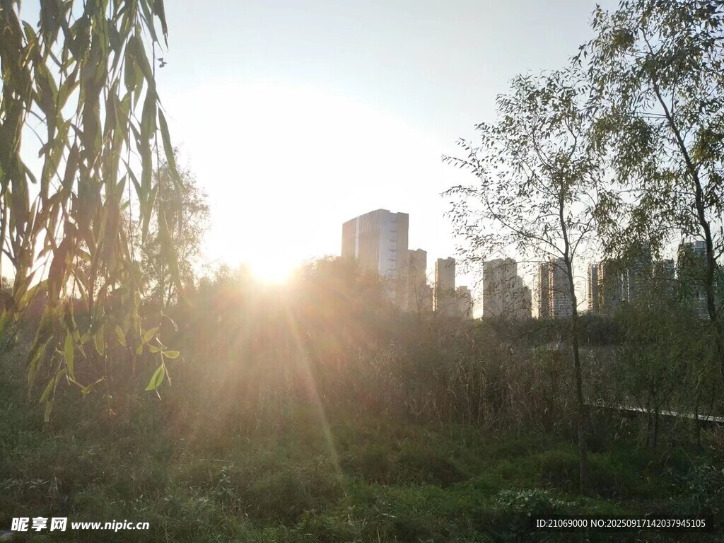 逆光中的城市一角