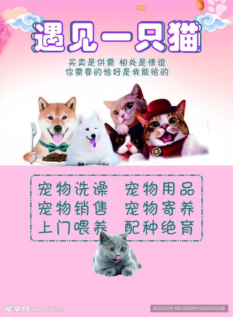 遇見萌貓 寵物服務(wù)大集合