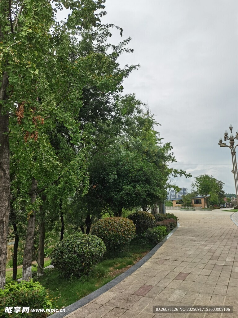 園林景觀中的幽靜小路