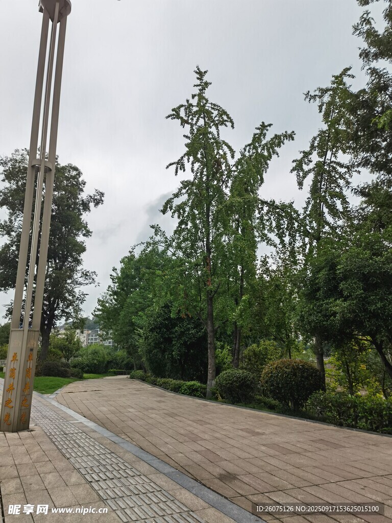 城市中的林蔭磚砌步道