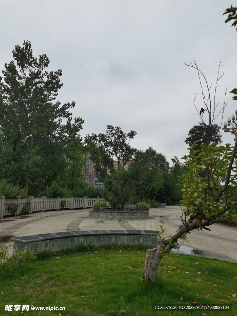 公園內(nèi)的草地與樹木景觀