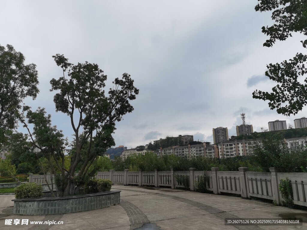 城市中的林蔭步道景觀