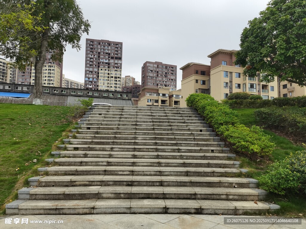 戶外石階旁的綠植與建筑