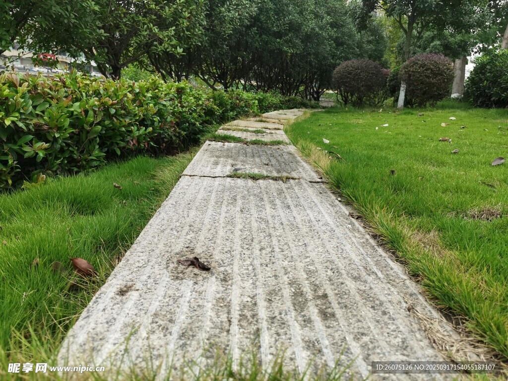 林間石板小徑綠意盎然
