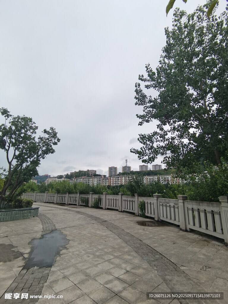鄉(xiāng)間小路旁的綠植與圍欄