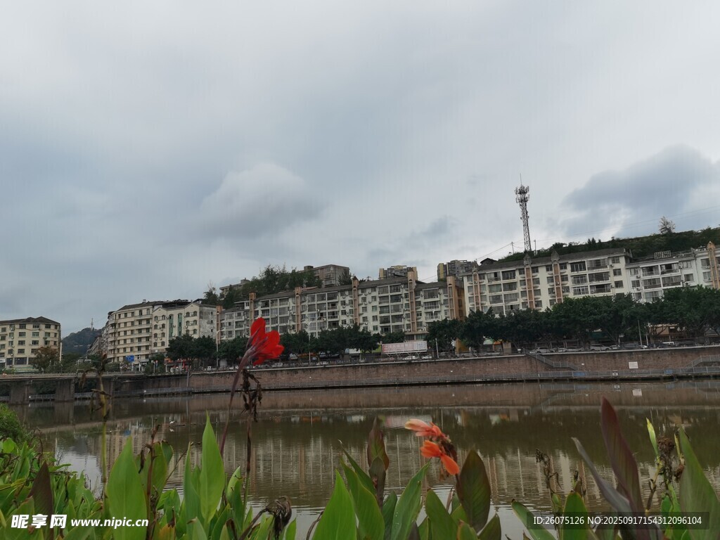 河畔城市風(fēng)景與鮮艷花朵