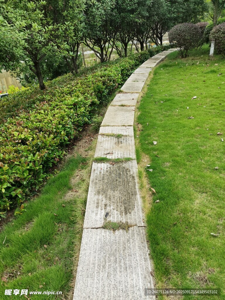 林間石板小徑綠意盎然
