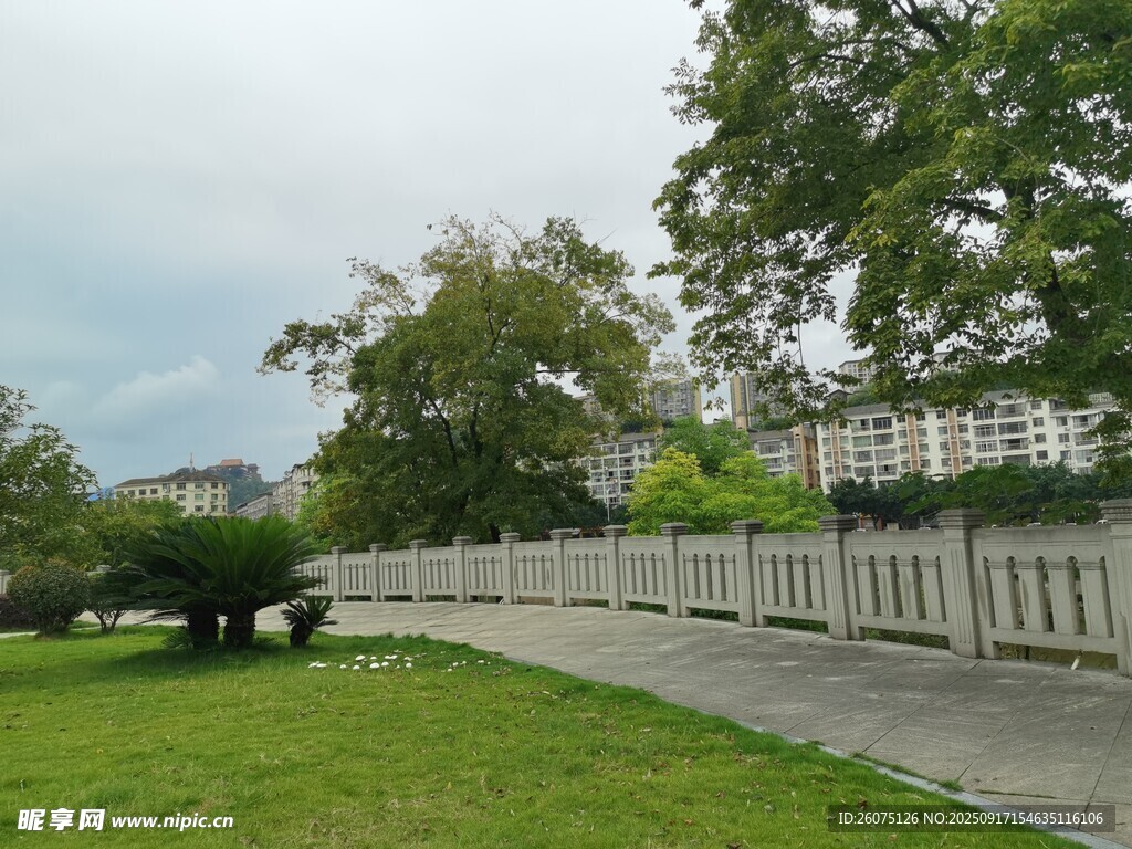 公園中的步道與蔥郁草木