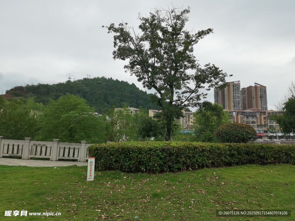 城郊草地旁的樹(shù)木與建筑