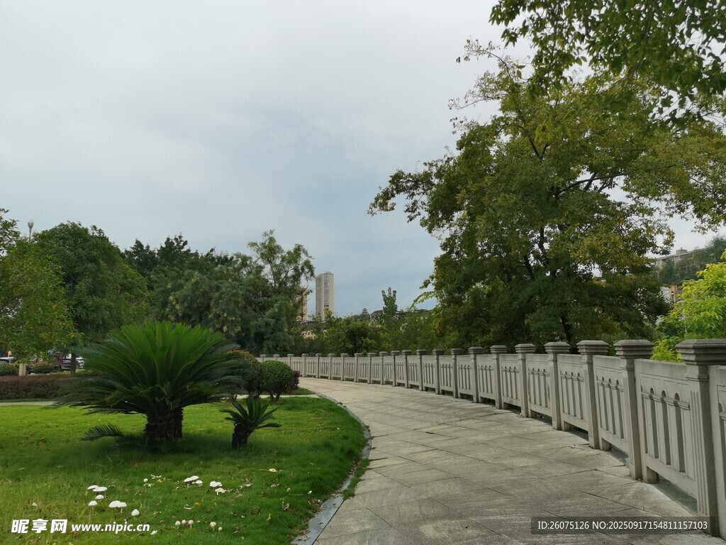 公園蜿蜒小徑與綠植景觀