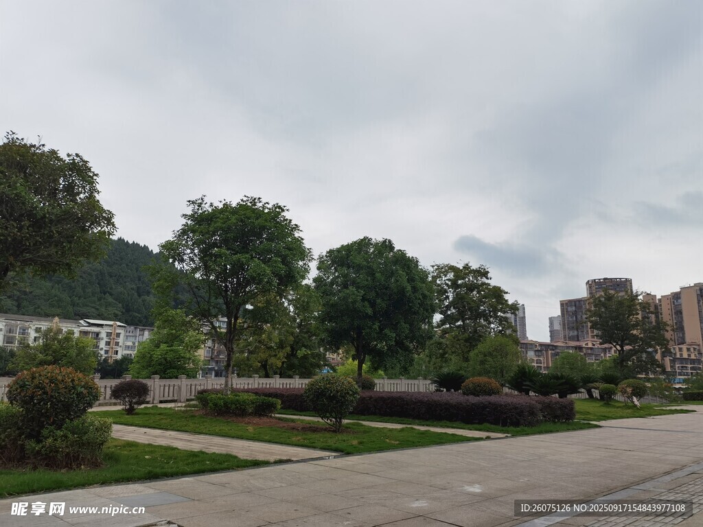 城市街邊綠化景觀