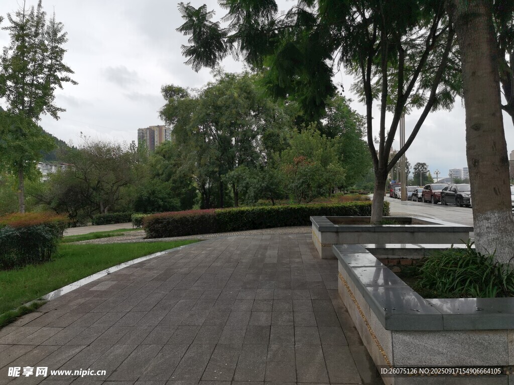 城市公園中的幽靜步道