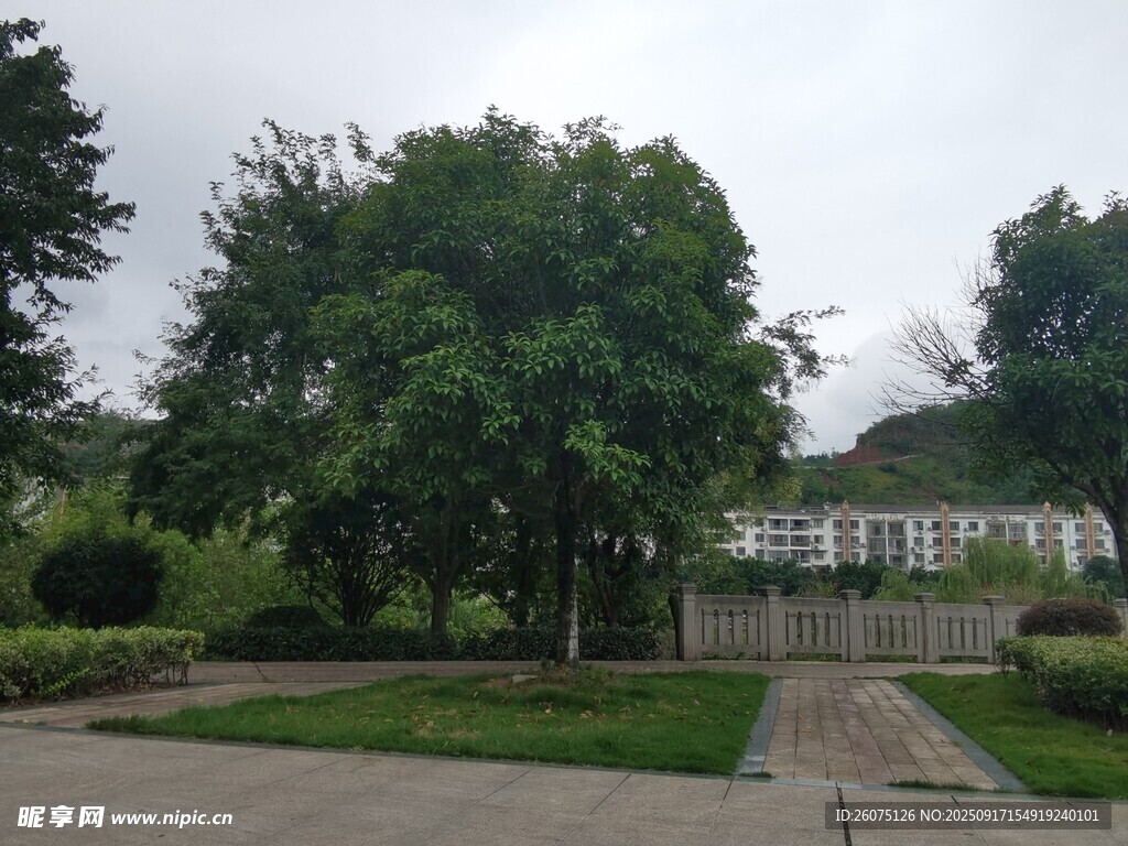 公園綠樹成蔭的靜謐小徑