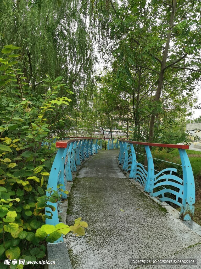 藍(lán)色小橋隱于蔥郁綠植間
